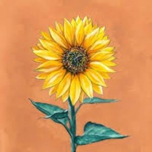 Meet your Posher, Ila